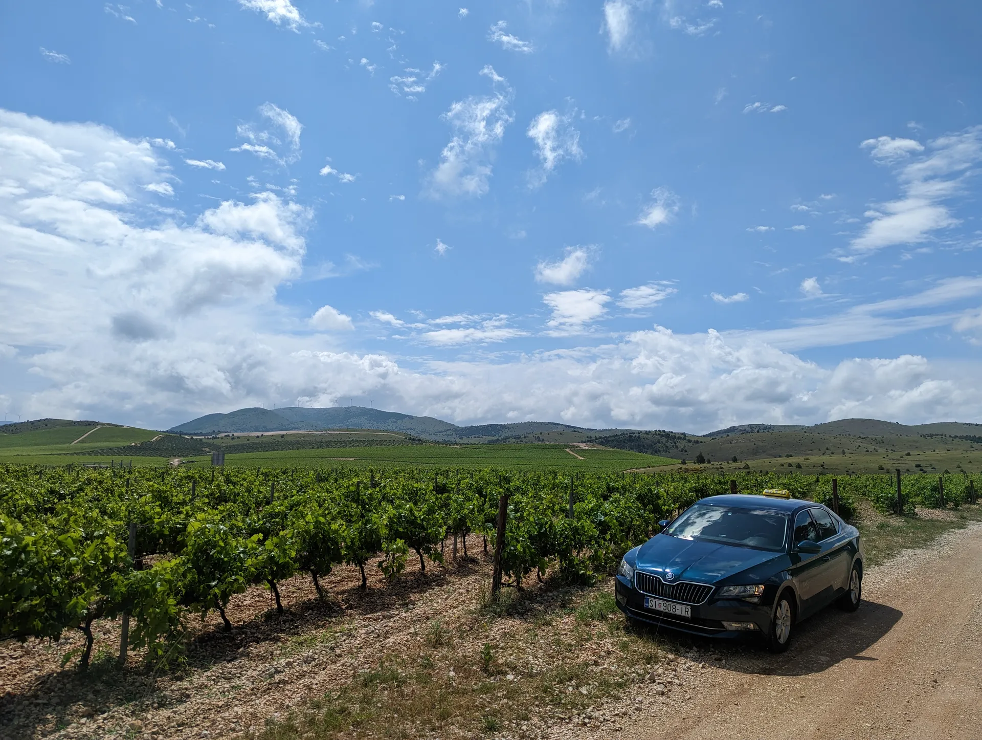 La Škoda Superb di TAXI Antonio lungo i vigneti verso la cantina Testament vicino a Šibenik